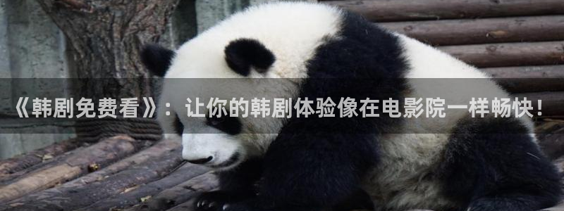 虫虫漫画 网站：《韩剧免费看》：让你的韩剧体验像在电影院一样畅快！